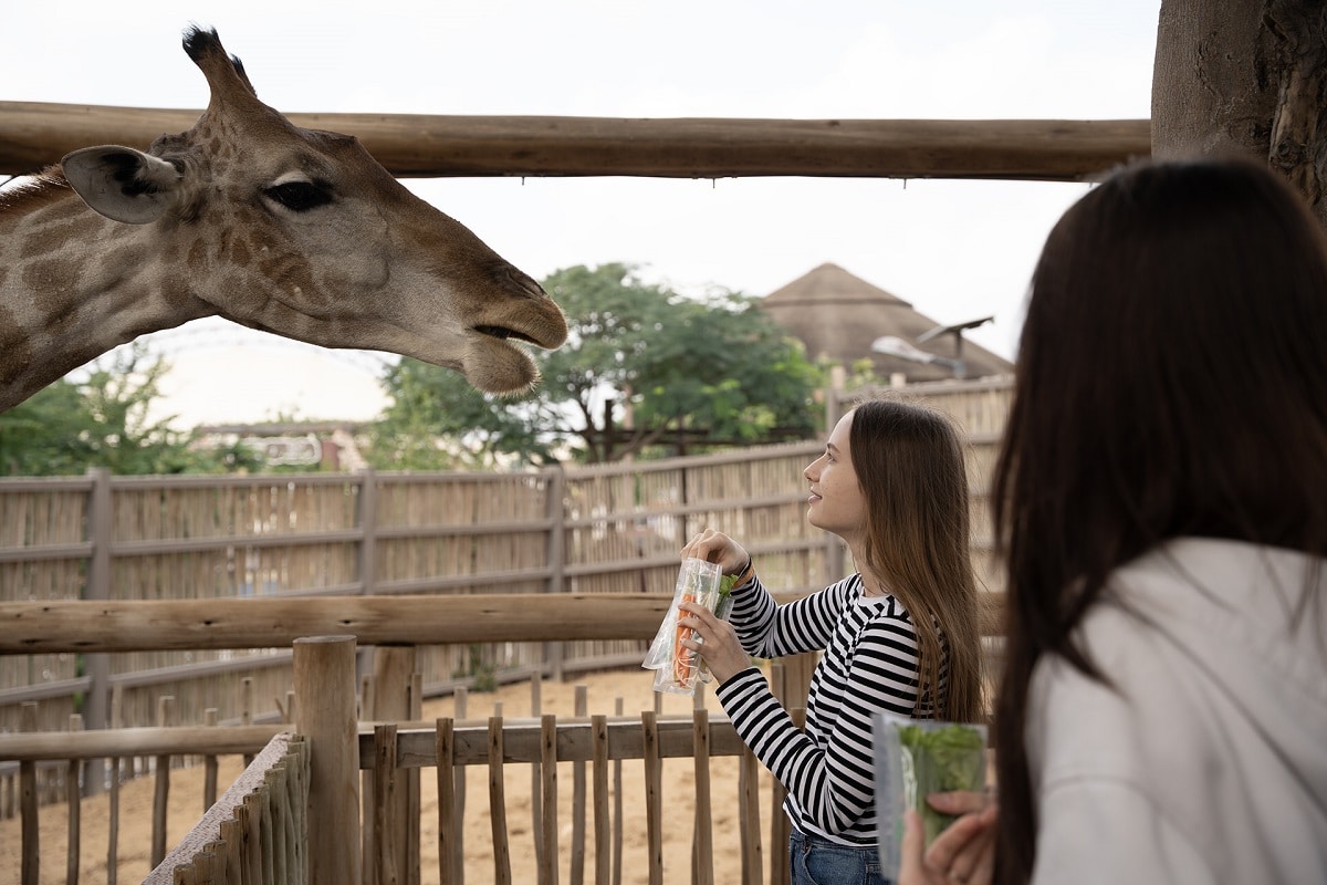 safari park opening hours