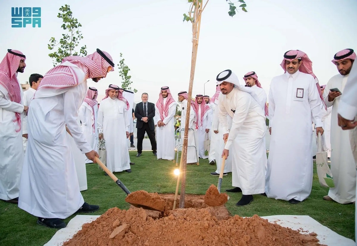 Green Riyadh Saudi Arabia trees