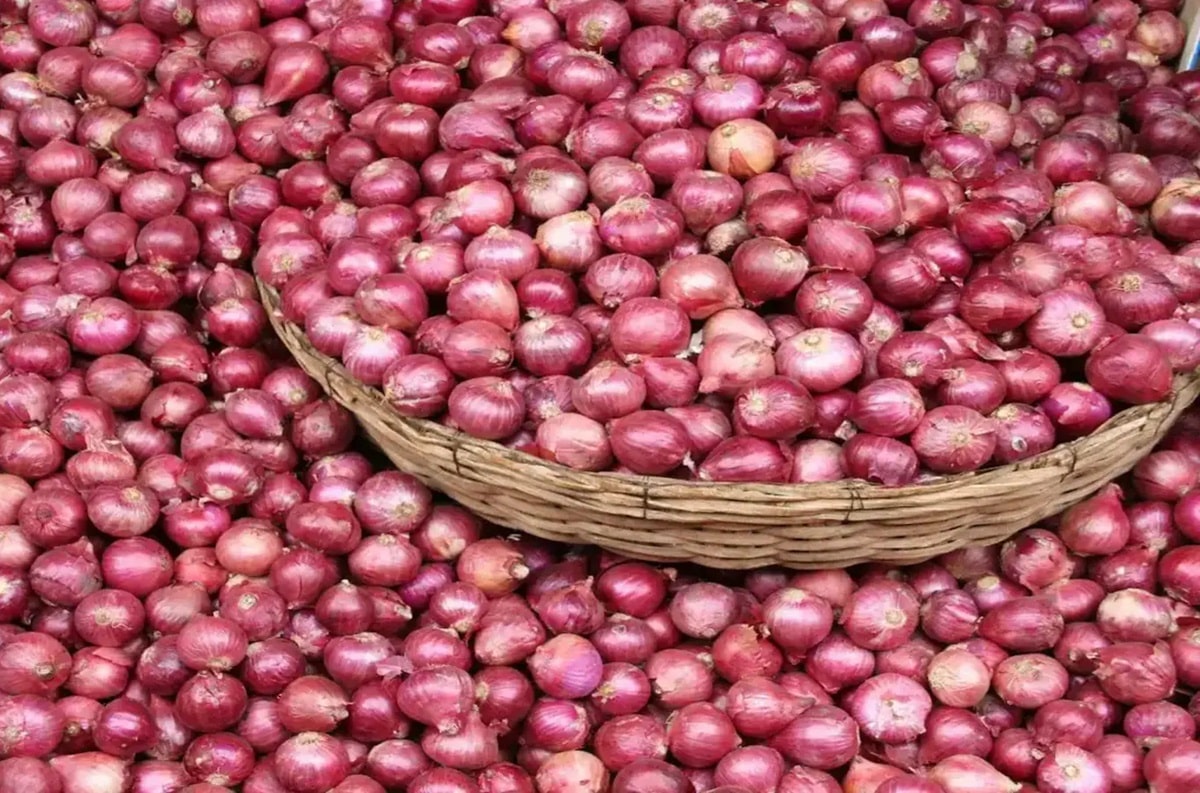 onion Saudi Arabia