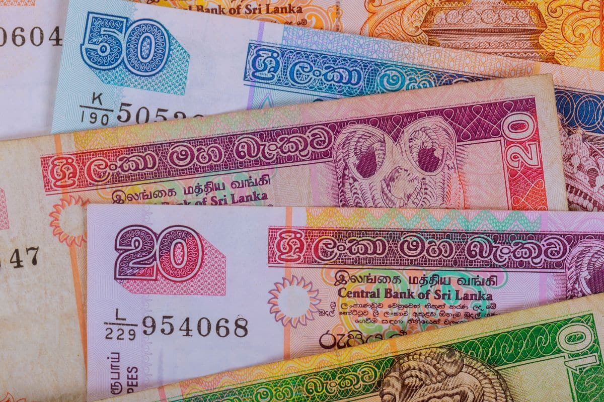 Sri Lanka’s central bank slashes interest rates by 0.5% in bid to spur ...