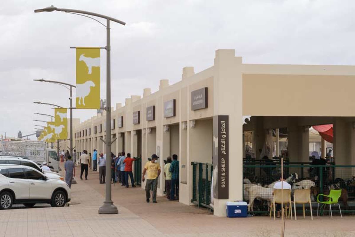 Sharjah Livestock Market