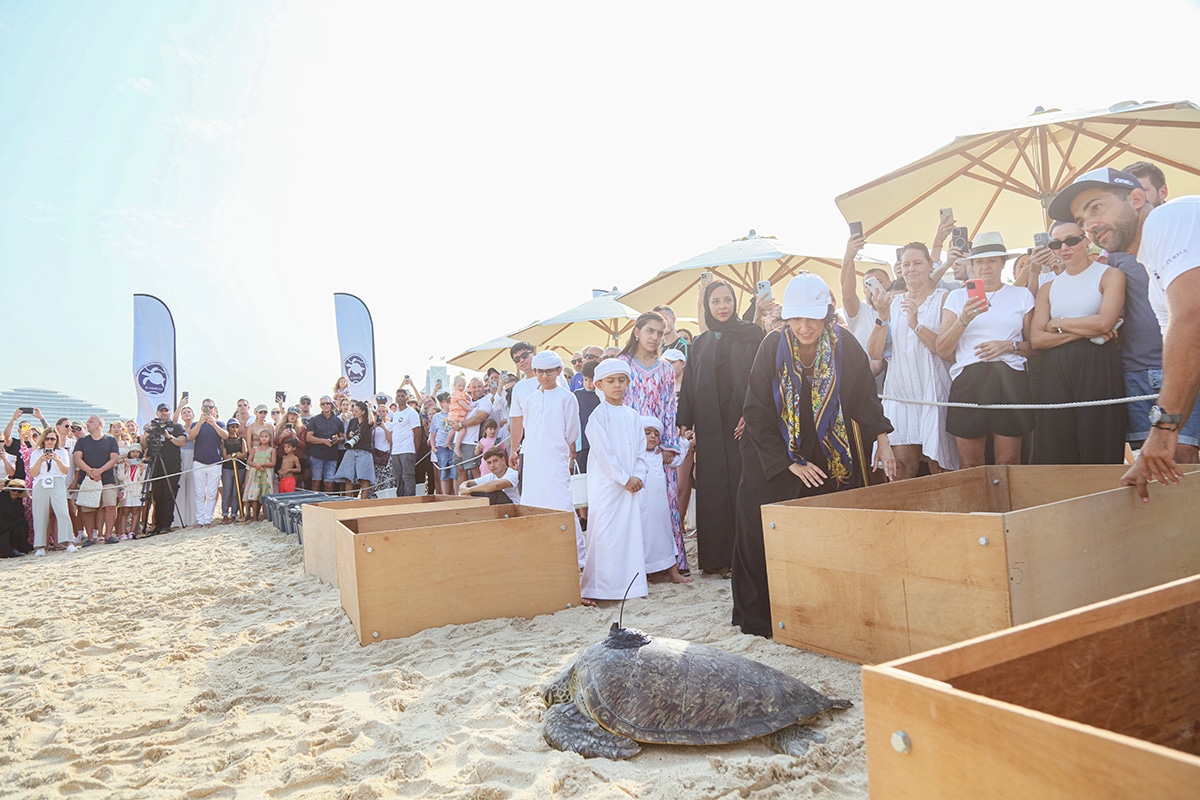 In pictures: Dubai Turtle Rehabilitation Project marks 20 years ...