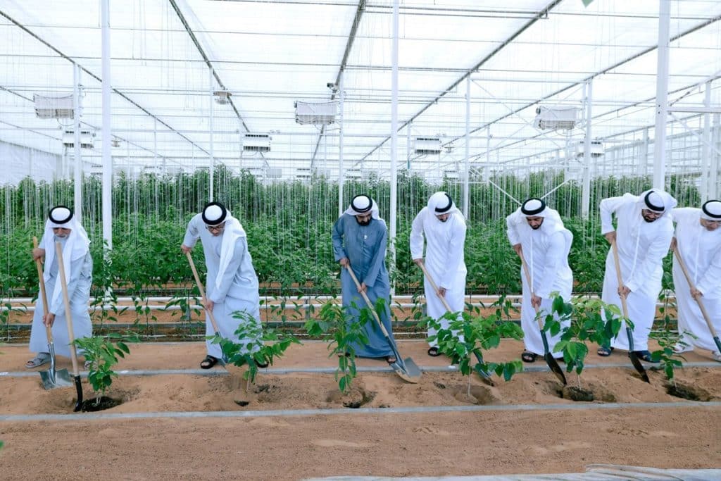 UAE agriculture farming food 