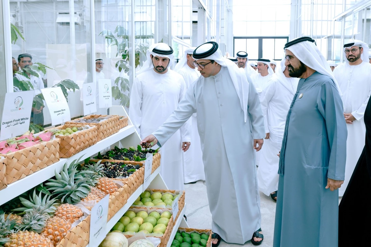 UAE agriculture farming food