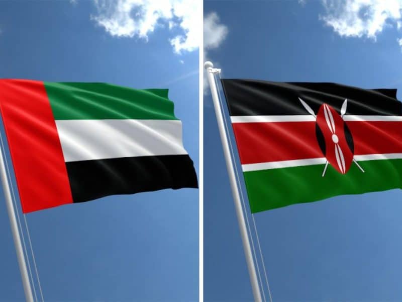 UAE and Kenya trade