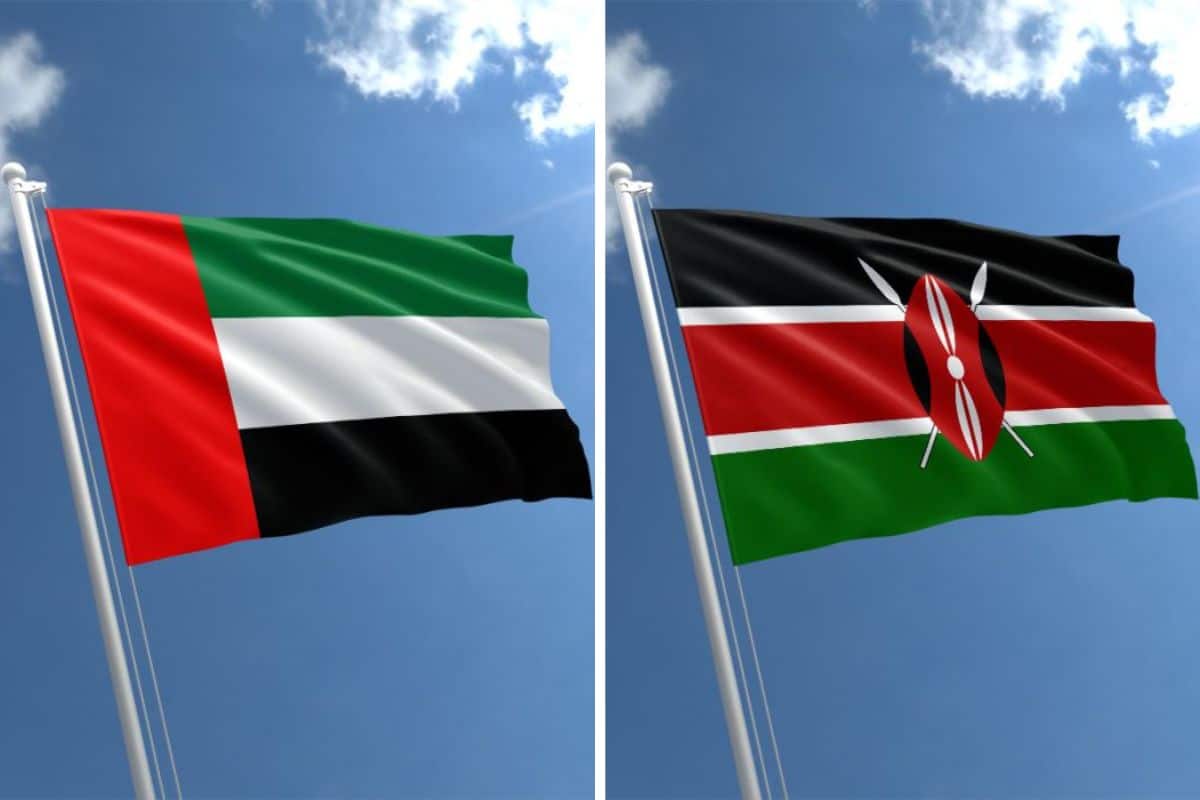 UAE and Kenya trade