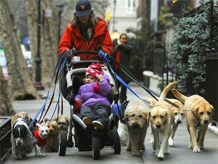  Dogs  banned from public areas in Abu  Dhabi  Arabianbusiness