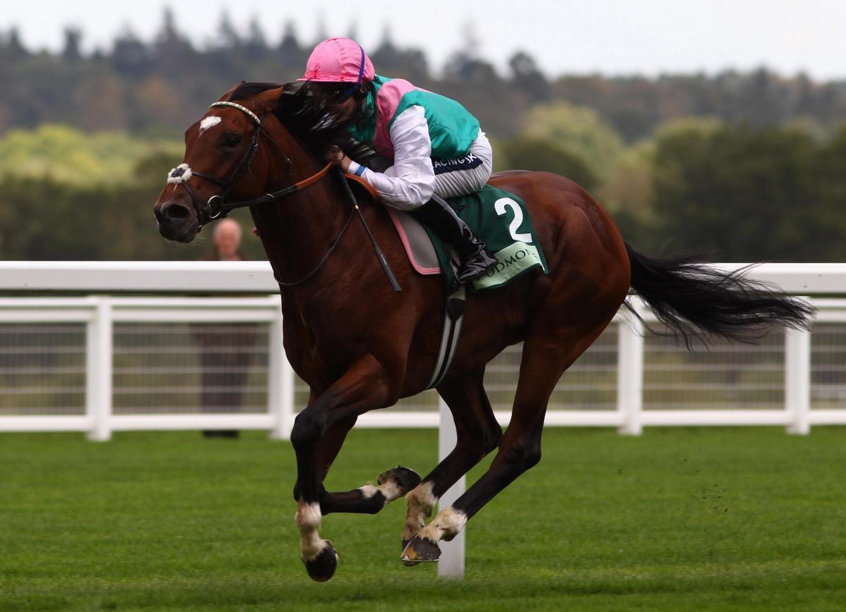 Saudi-owned Frankel wins top UK horse race - Arabianbusiness