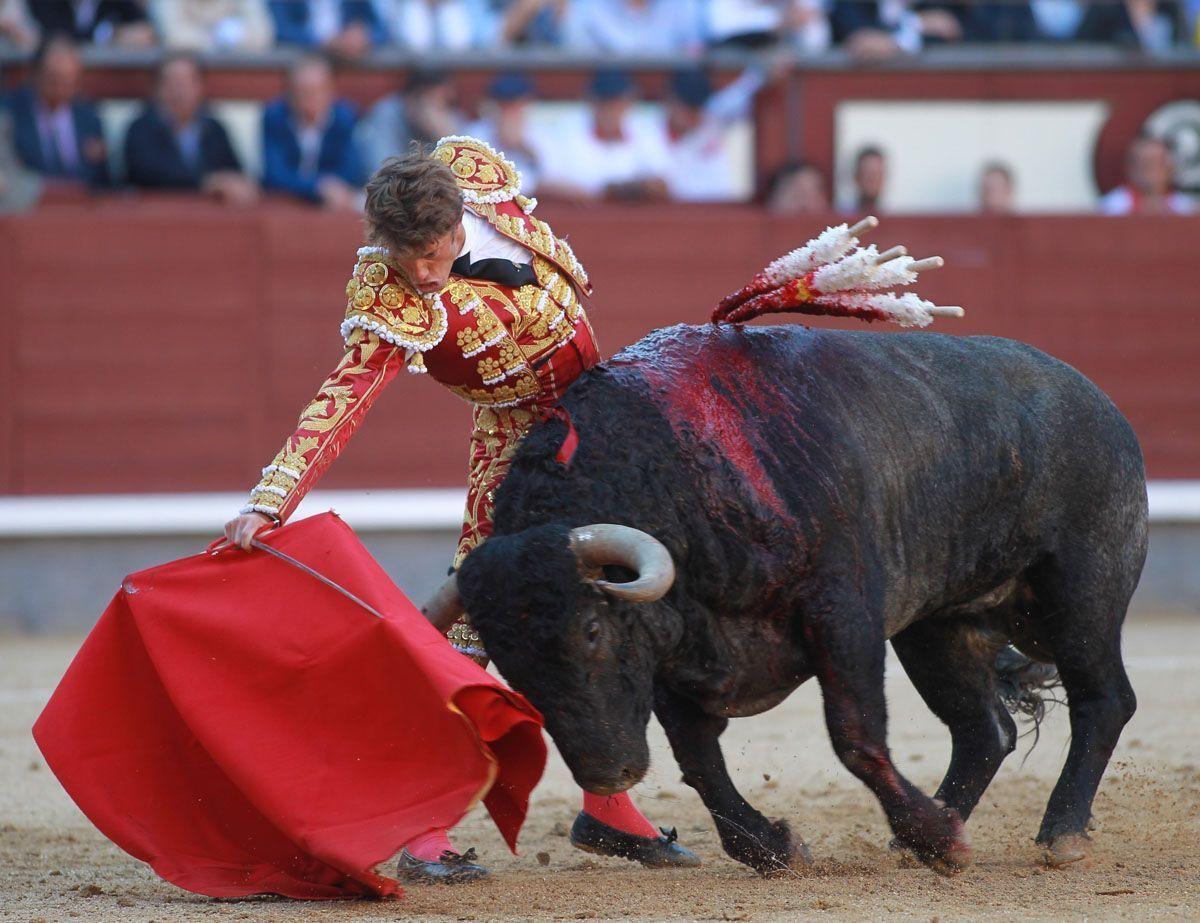 Photos: San Isidro bullfight festival - Arabianbusiness