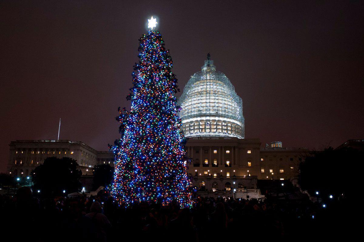 Traditional Capitol Hill Christmas Tree lighting ceremony Arabianbusiness