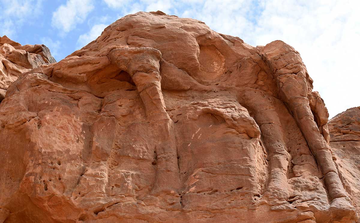 Rock art and mystery: Ancient camel sculptures in Saudi desert