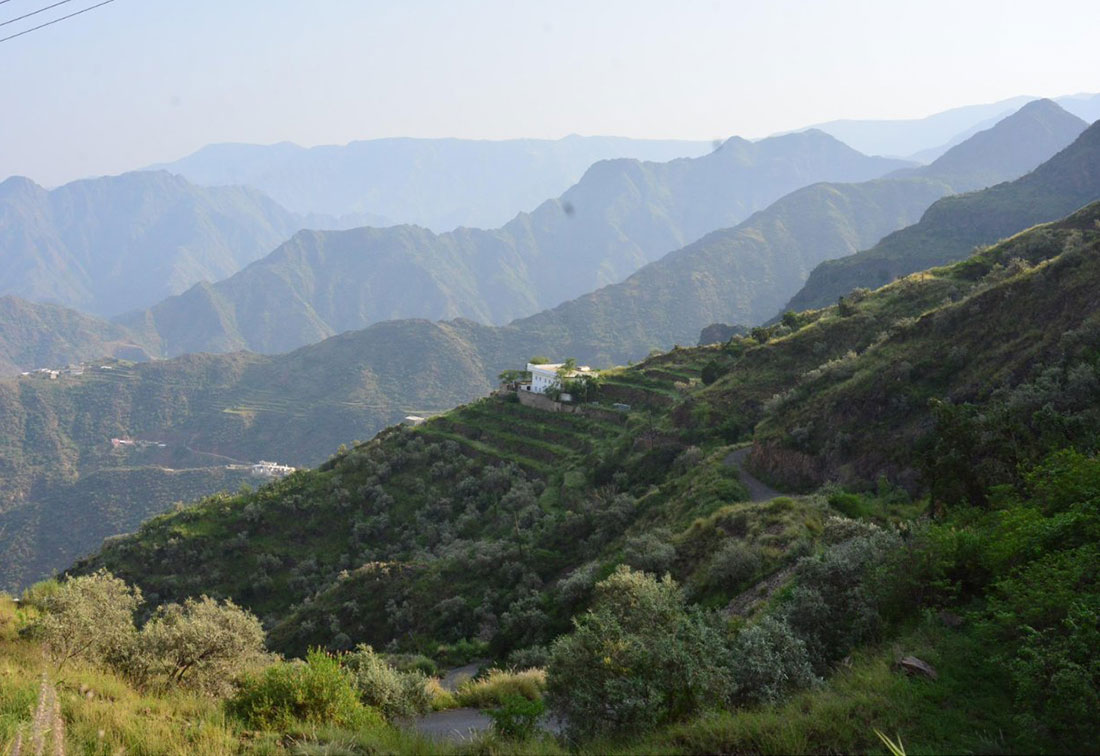 Gallery Saudi Arabia S Tourist Destination Asir Full Of Natural   Asir Region Saudi 9 