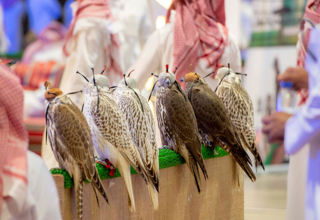 Gallery Saudi Falcons And Hunting Exhibition 2019 Gets Underway In Riyadh Arabianbusiness