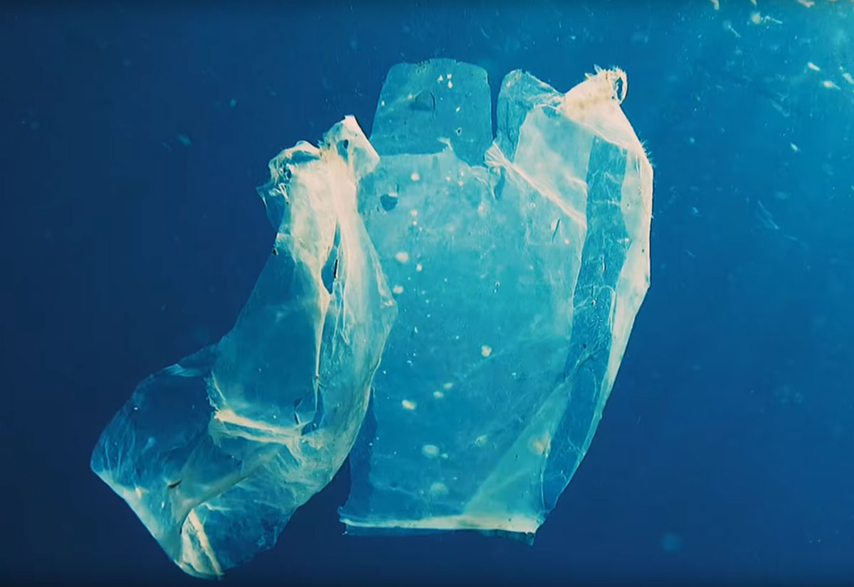 will-banning-plastic-bags-save-the-planet-etsus-co